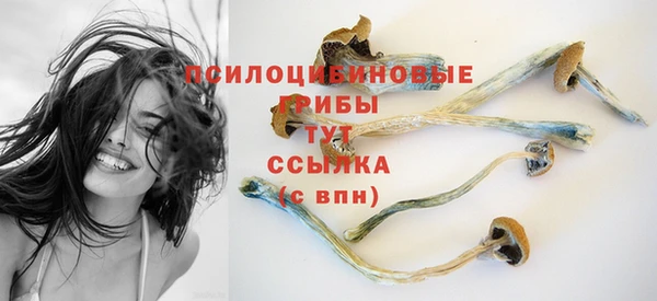 jwh Бугульма