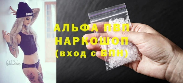стафф Бородино