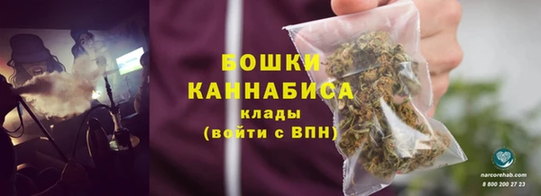 стафф Бородино