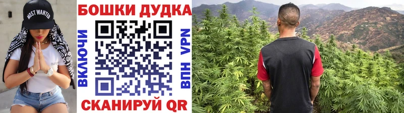 блэк спрут маркетплейс  Грайворон  Марихуана MAZAR  закладки 